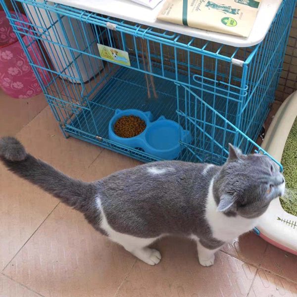 Cat Shaped Double Food Bowl – Plastic Pet Feeding Bowl for Food & Water