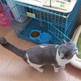Cat Shaped Double Food Bowl – Plastic Pet Feeding Bowl for Food & Water