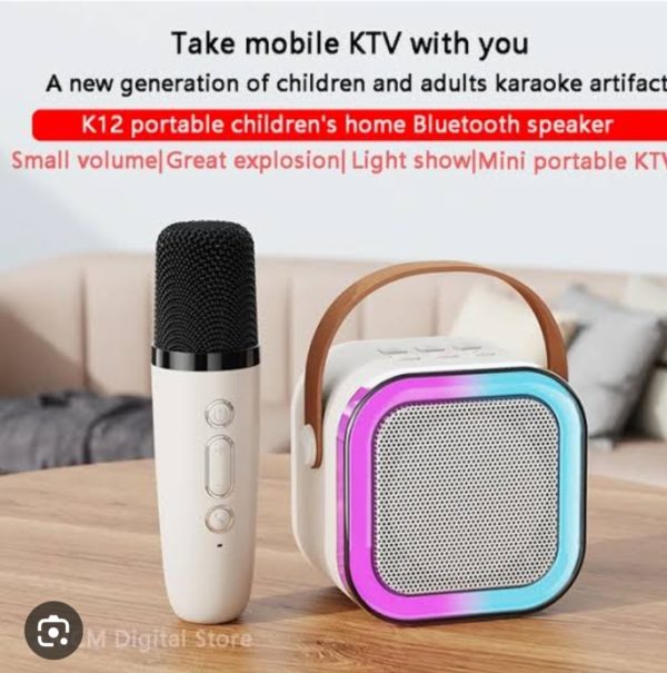 K12 Wireless Audio Microphone & Bluetooth Karaoke Speaker – Portable Stereo Speaker with Double Mic (Random Color)